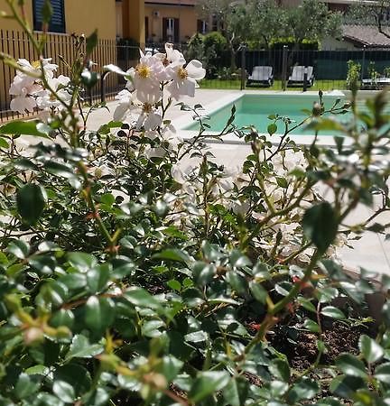Residenza Cieloterra Guest House Rivotorto Bagian luar foto
